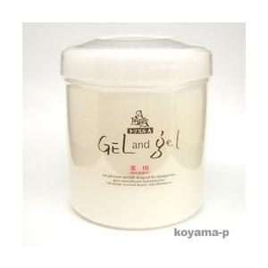 株式会社ピュア トリプルAゲルアンドゲル500g