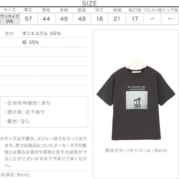 Tシャツ レディース トップス 半袖 フォトプリント Tシャツ フォトプリント柄 夏 C4477｜kobelettuce｜04