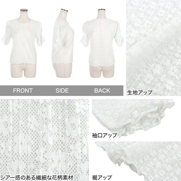 KOBE LETTUCE（神戸レタス） レーストップス 半袖 40代 上品 袖