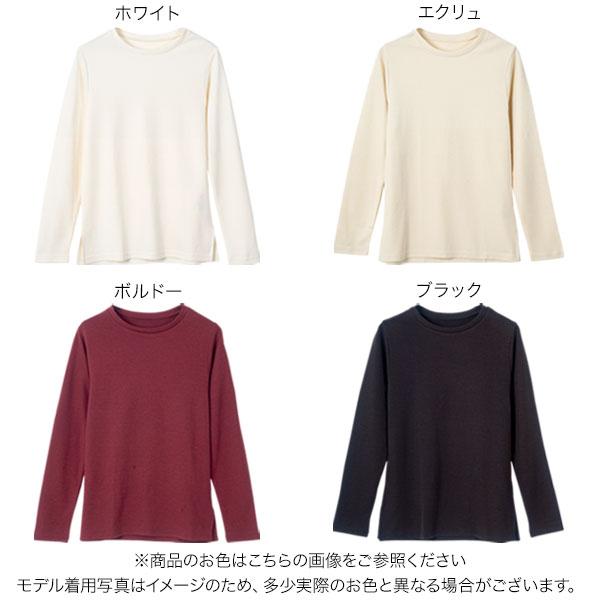 ANTONELLI/長袖カットソー/40/レーヨン/クリーム 洗える・日本製]ナイロンチュールカットソー(カットソー・T