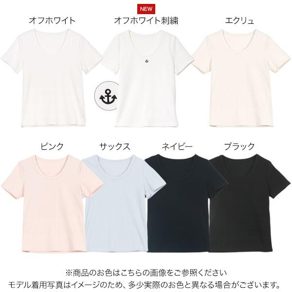インヴェル レディース Tシャツ Uネック G・Lサイズ シルクタッチコットン深UネックTシャツ [C7272] - レディース