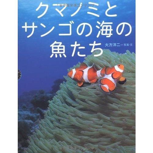 お得 自己啓発 クマノミとサンゴの海の魚たち ちしきのぽけっと5 Www Threeriversofs Com