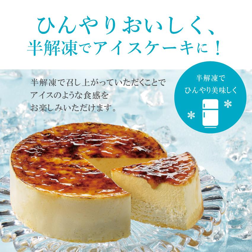 チーズケーキ 誕生日  スイーツ 神戸バニラフロマージュ アイスケーキ 冷凍 4号 直径12cm 2名〜4名 記念日 プレゼント  お返し お取り寄せ 夏ギフト お中元 | ブランド登録なし | 13