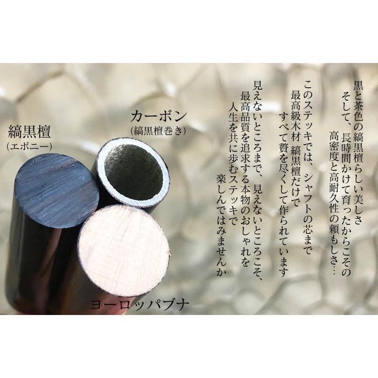 杖 つえ ステッキ おしゃれ　フランス ファイエ社製 芸術的に美しいシルバーステッキ （本縞黒檀シャフト / ライオン曲がり）_3