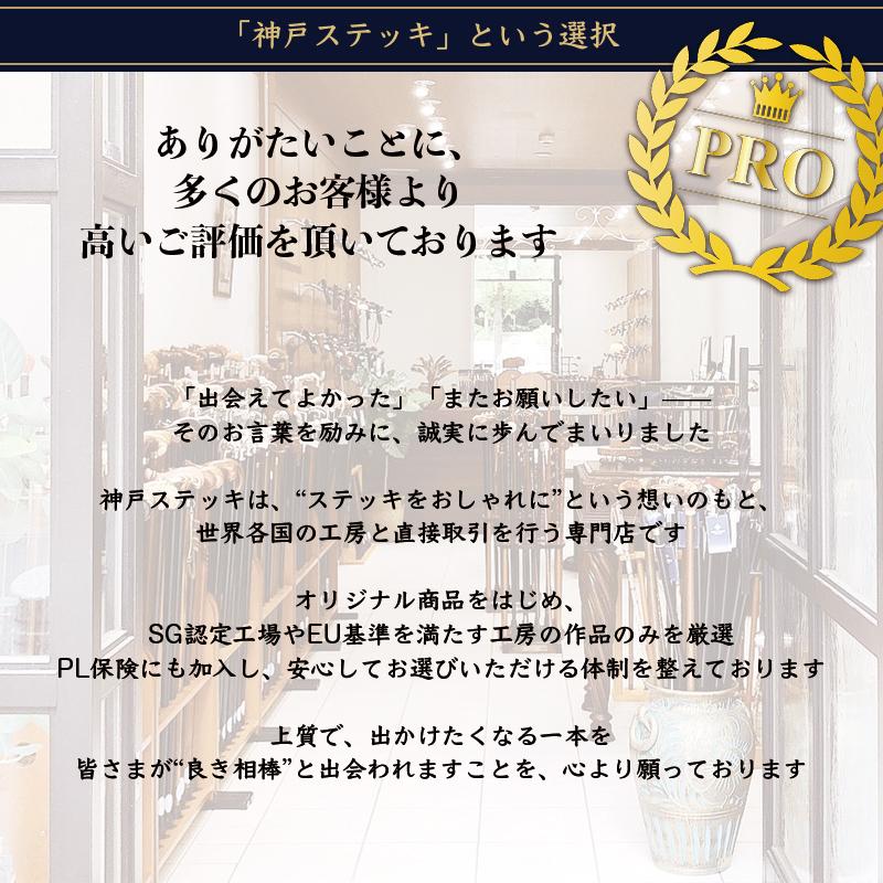 杖 つえ ステッキ おしゃれ 老舗 ドイツ ガストロック社製 王道な美