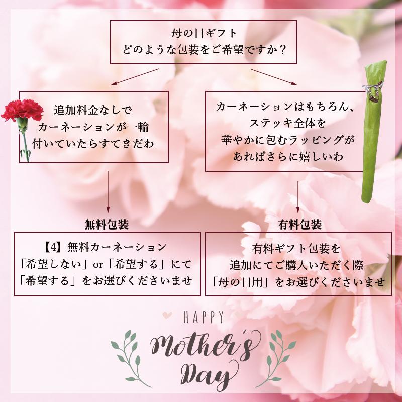 英国リバティプリントを纏った美しいステッキ(杖) kobesticks_liberty-fo-full