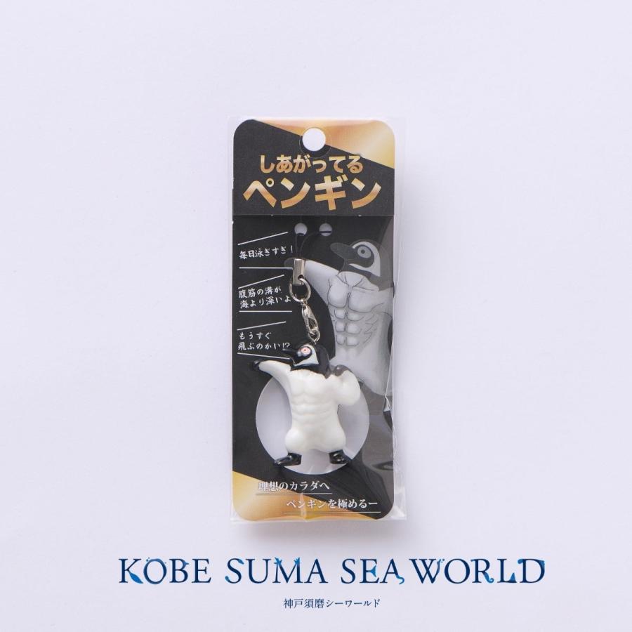 水族館で買ったペンギン しあがってるペンギン : 神戸須磨シーワールドオンラインショップ