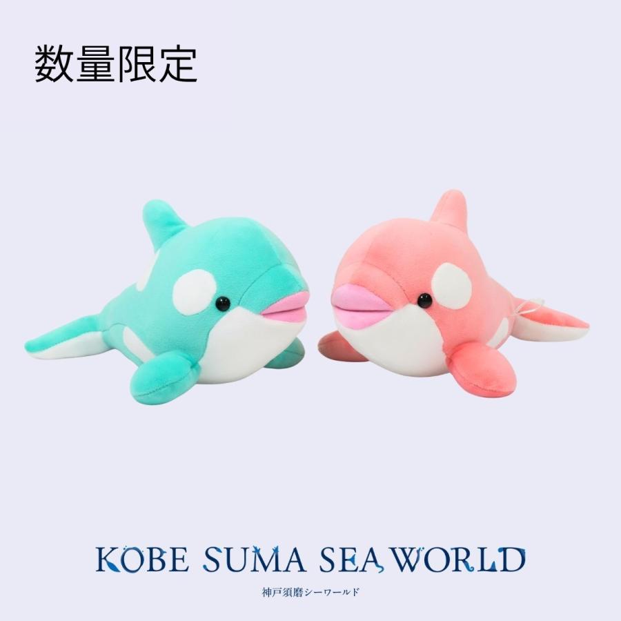 シャチぬいぐるみセット：あおば・さくら : 神戸須磨シーワールド