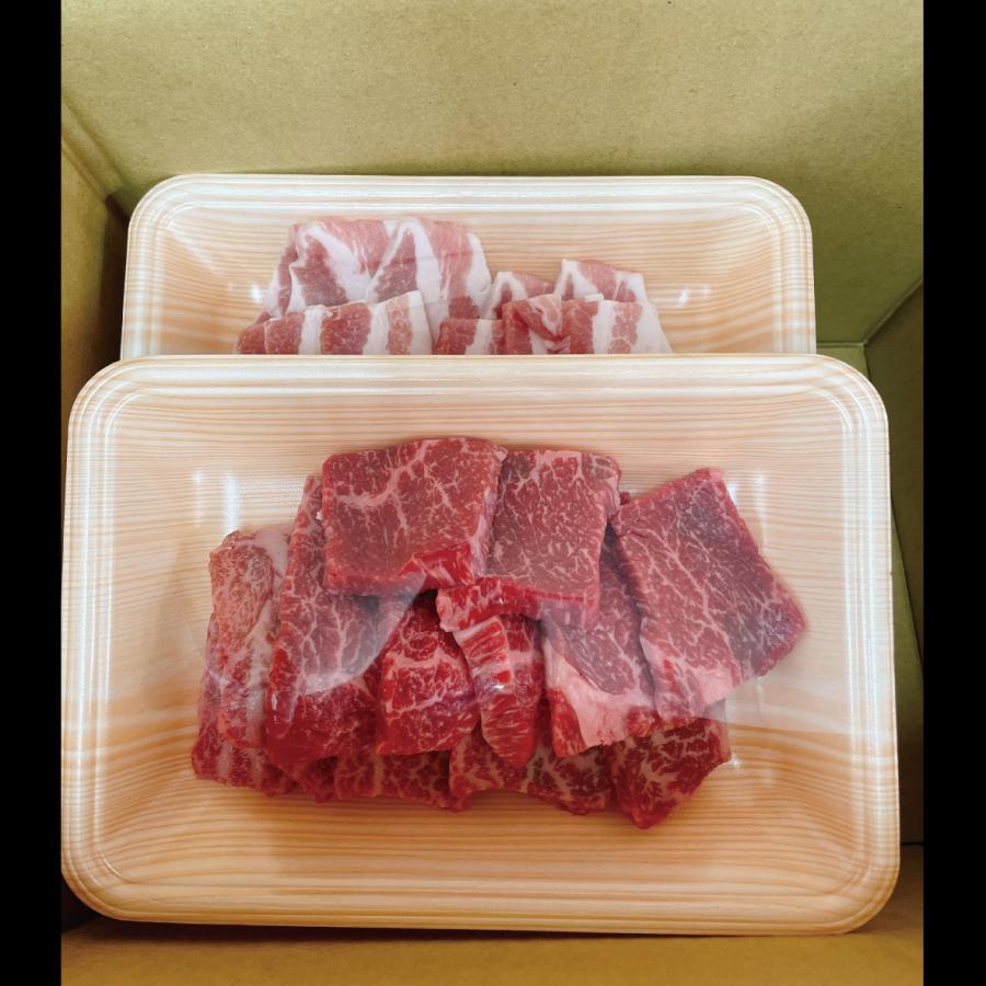 大人の上質 焼肉 バーベキュー 牛肉 国産 焼肉セット q ファミリー 4 5人前 Wantannas Go Id