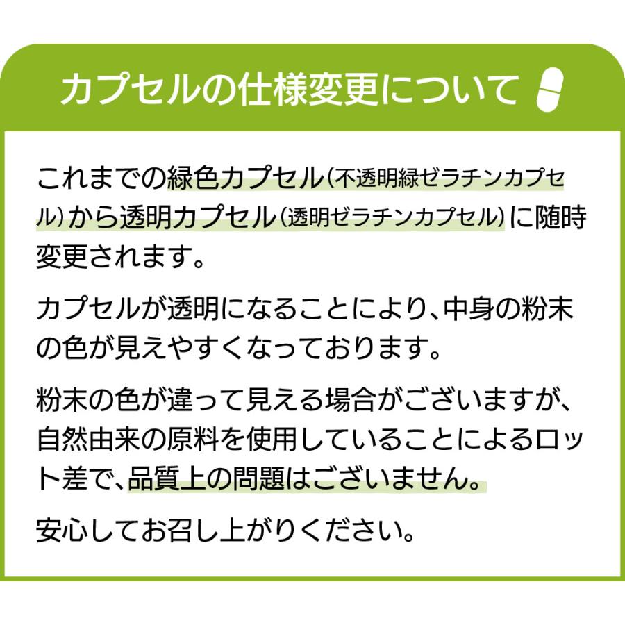 ユーグレナ バイオザイム 100粒 赤丸印 みどりむし 10個セット