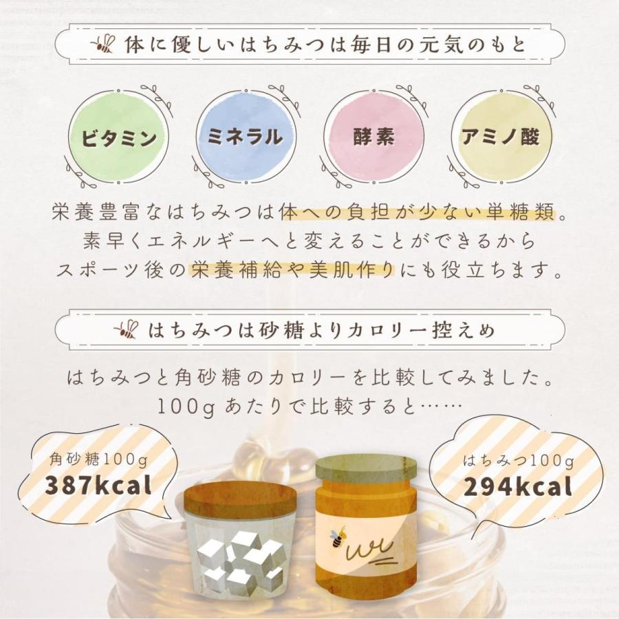 神戸養蜂場 はちみつ お試し 国産 百花蜜 非加熱 90g 3本 セット 神戸養蜂場 はちみつ お試し 国産 百花蜜 非加熱 90g 3本 セット
