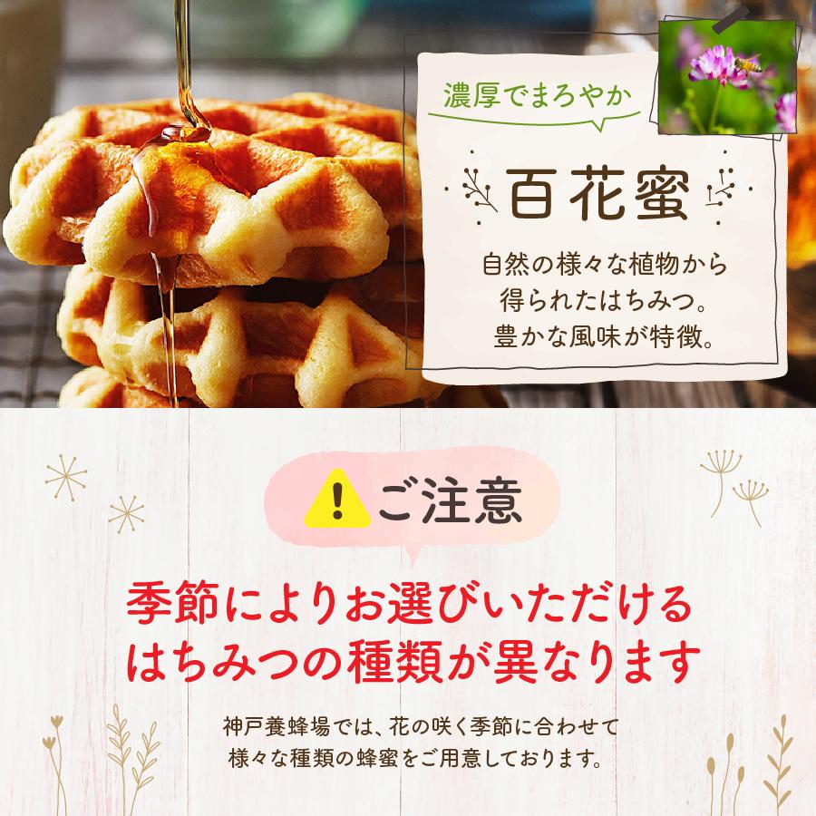 はちみつ 国産 外国産 選べる エコパック 90g 5本 セット 蜂蜜 はちみつ 国産 外国産 選べる エコパック 90g 5本 セット 蜂蜜