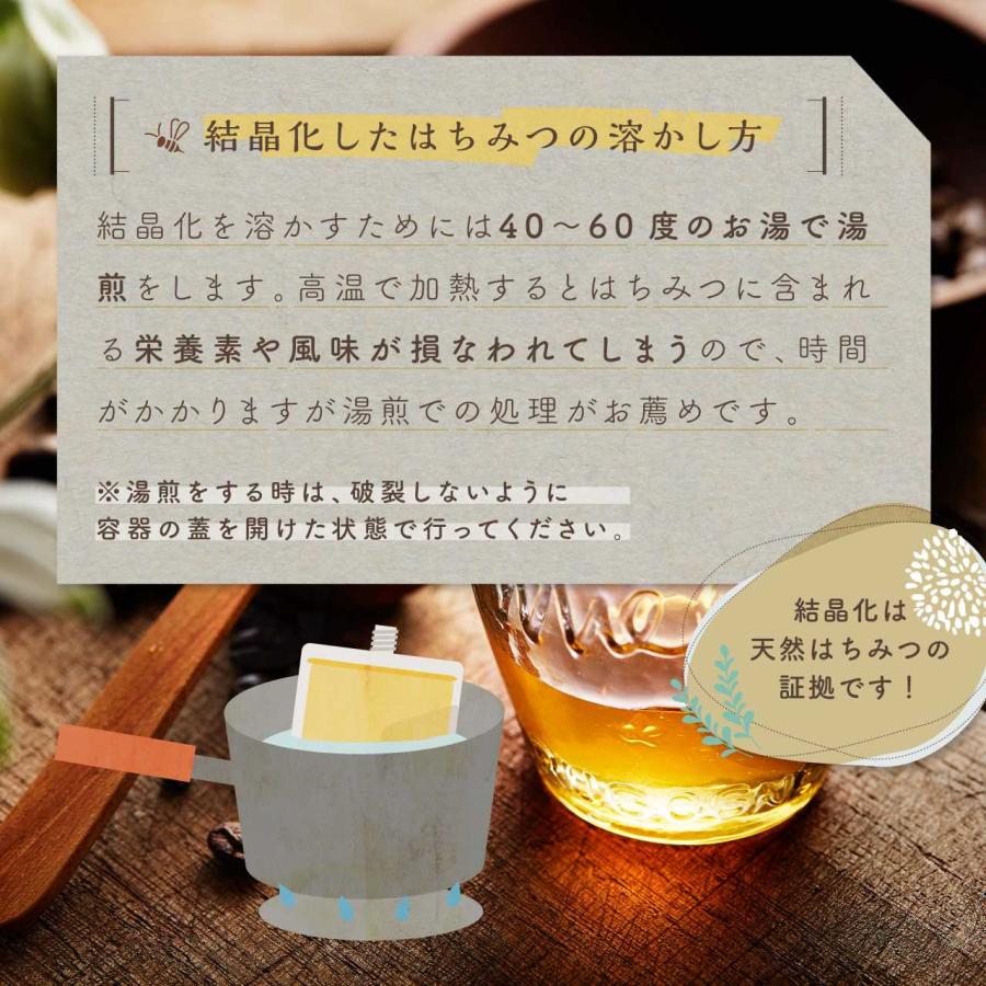 はちみつ 国産 外国産 選べる エコパック 90g 5本 セット 蜂蜜 はちみつ 国産 外国産 選べる エコパック 90g 5本 セット 蜂蜜