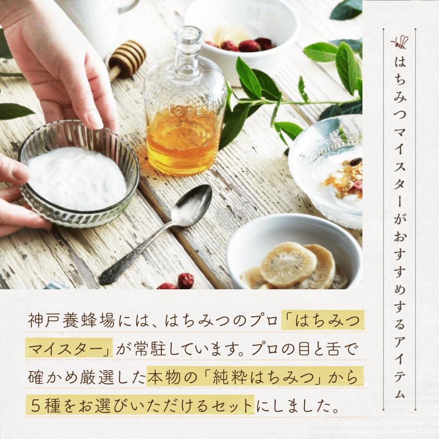 はちみつ 国産 外国産 選べる エコパック 80g 90g 5本 セット 蜂蜜 ハチミツ 純粋 非加熱 無添加 百花蜜 アカシア とち はぜ | 神戸養蜂場 | 02