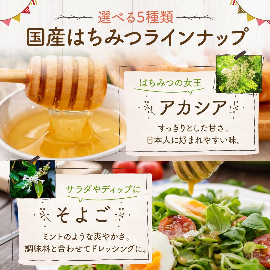 はちみつ 国産 外国産 選べる エコパック 90g 5本 セット 蜂蜜 ハチミツ 純粋 非加熱 無添加 百花蜜 アカシア とち はぜ｜kobeyohojyo｜06