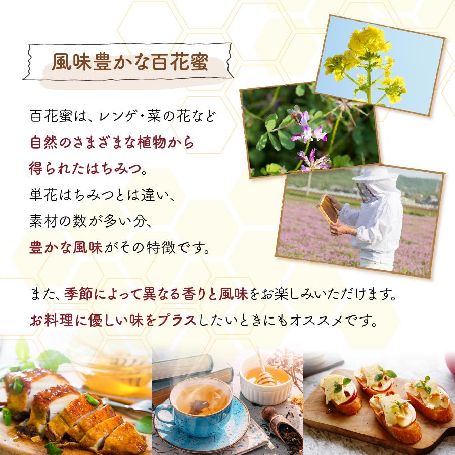神戸養蜂場 はちみつ 国産 非加熱 とんがり 百花蜜 500g 2本 神戸養蜂場 はちみつ 国産 非加熱 とんがり 百花蜜 500g 2本
