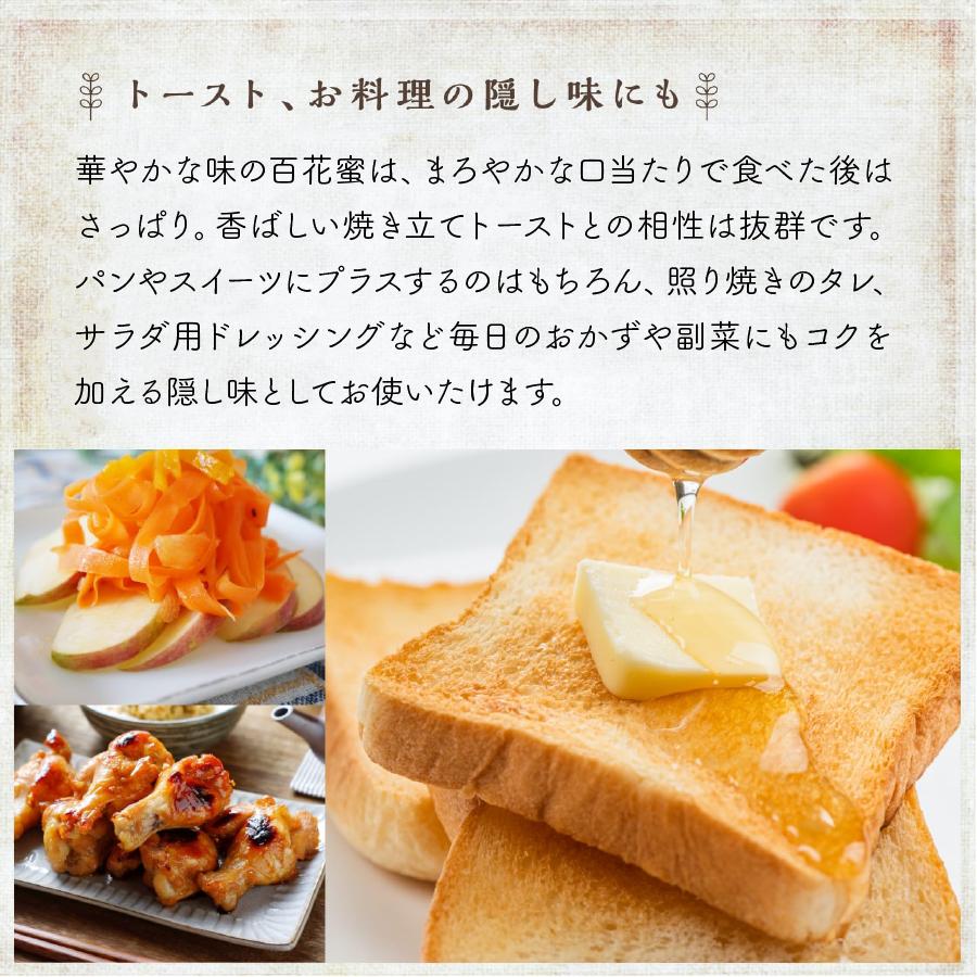 神戸養蜂場 はちみつ 国産 非加熱 とんがり 百花蜜 500g 2本 神戸養蜂場 はちみつ 国産 非加熱 とんがり 百花蜜 500g 2本