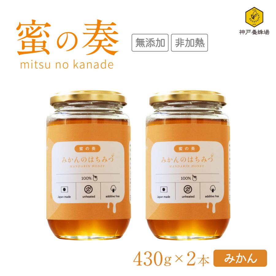日本蜜蜂の天然ハチミツ無添加非加熱内容量500g × 2本