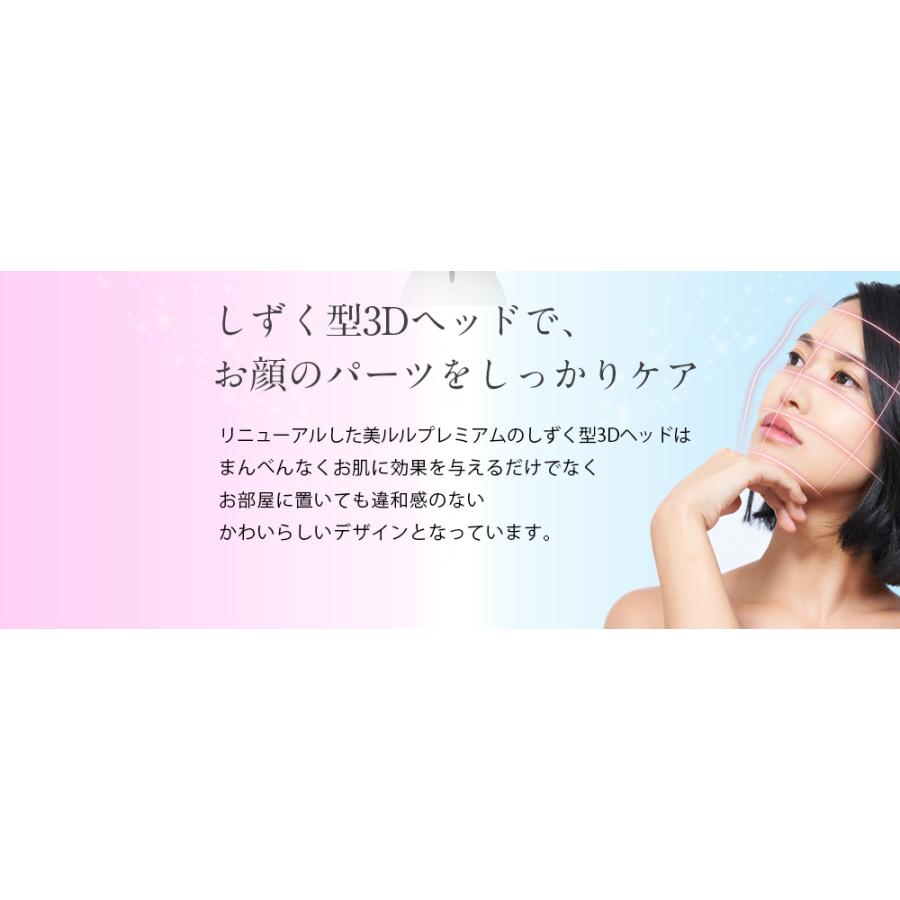 美顔器 プレミアムbelulu Premium リフトアップ EMS rf エレクトロポレーション ノーニドルメソセラピー RF LED 日本製 プレゼントの画像