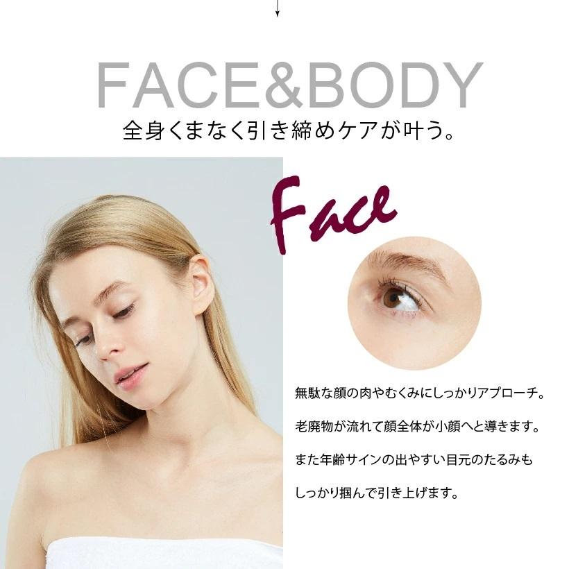 ローラー 美顔ローラー マイクロカレント 美顔器 防水【ミライエ