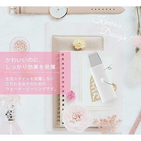 ウォーターピーラー、美顔器 ウォーターピーリング 美顔器 ウォーターピーラー ホームエステ