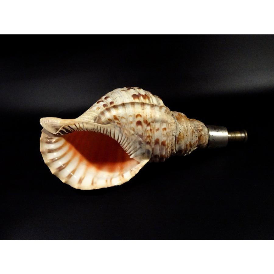 笛太郎　法螺貝2個 笛太郎 法螺貝2個 笛太郎様専用 法螺貝2個