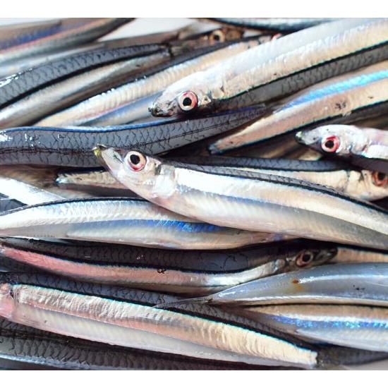 きびなごの魚醤 素材がいいからまろやかなクセのない魚醤 高知いいもの市場 通販 Yahoo ショッピング