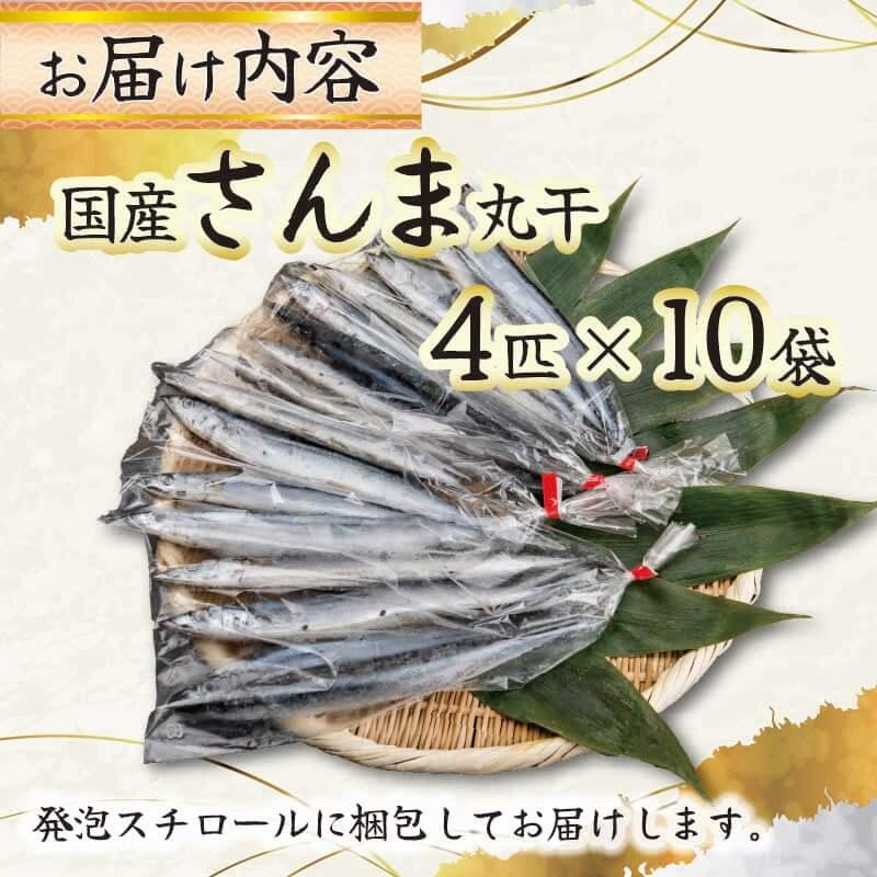 さんま丸干し 40尾 国産 秋刀魚 サンマ 丸干【下剋上さんま】 丸干