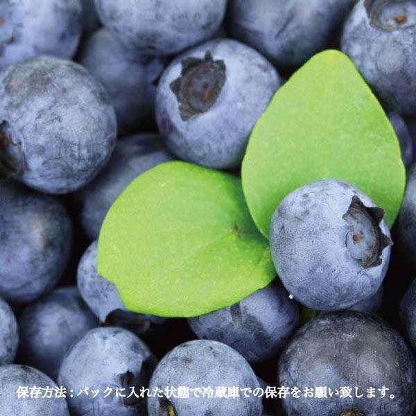 ブルーベリー 生果 ハイビッシュ系 生ブルーベリー 6パック 約600g 1パック 約100g 国産 岡山県産 フルーツ 果物 ギフト クール便|kochikobo|02