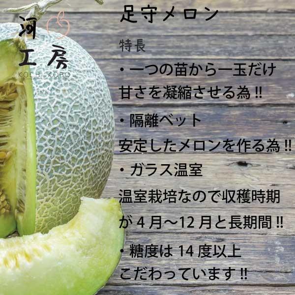 ギフト メロン フルーツ 果物 足守メロン 岡山県産 6玉入り 1玉 約1.4-1.6kg 糖度14度以上 MELON ギフト 糖度14度以上