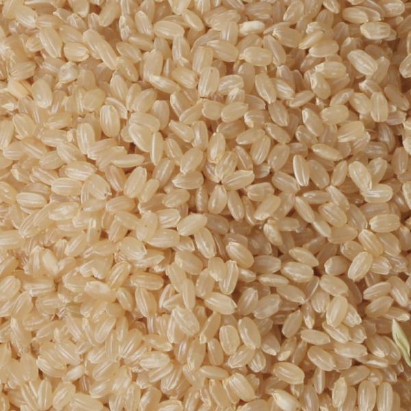 新米 米 岡山県産 玄米 30kg にじのきらめき 晴れの国 もっちりとした 