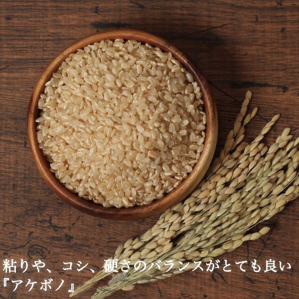 米 アケボノ 玄米 約30kg 晴れの国岡山 岡山の米 粘り コシ 硬さのバランスが良い米 産地直送 未検査米