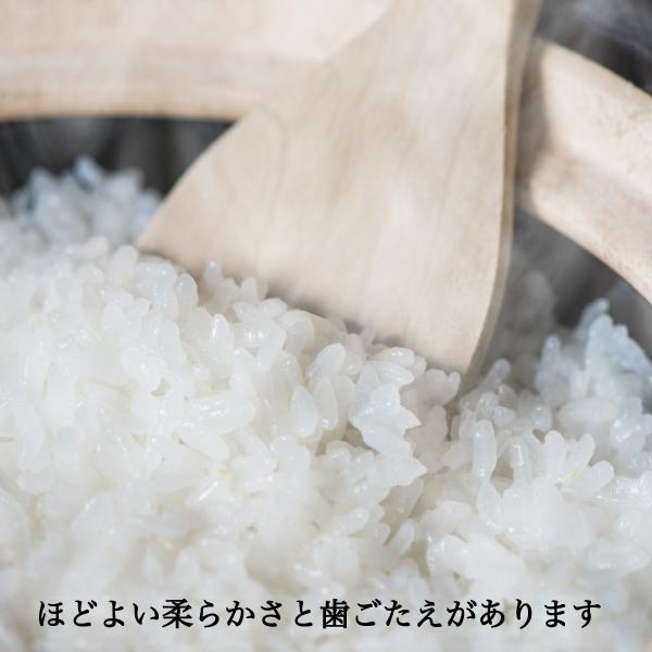 新米 米 30kg 玄米 アケボノ 農家直送 晴れの国岡山 岡山の米 新米 米 30kg 玄米 アケボノ 農家直送 晴れの国岡山 岡山の米