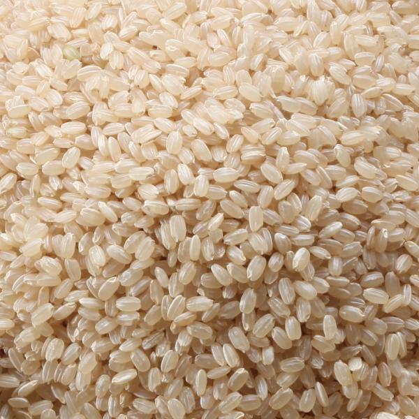 米 10kg 玄米 特別栽培朝日米 朝日米 あさひ 農家直送 岡山を 米 10kg 玄米 特別栽培朝日米 朝日米 あさひ 農家直送 岡山を
