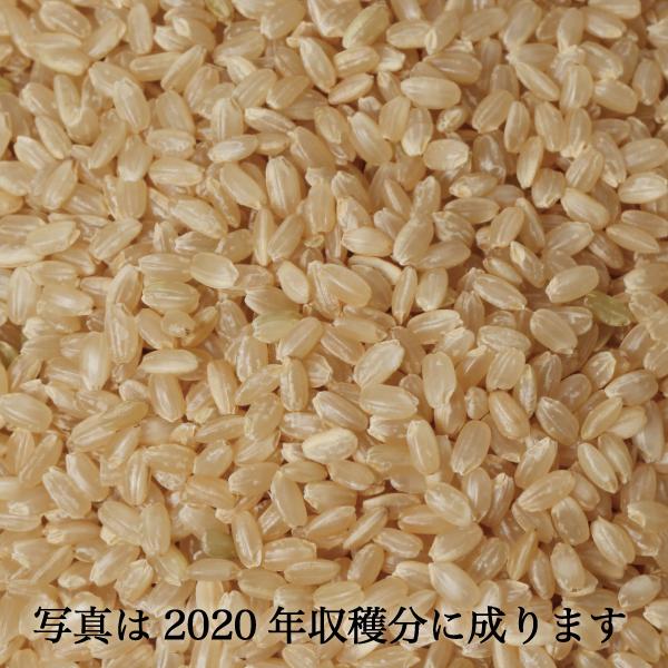 米 30kg 玄米 ヒノヒカリ 未検査米 農家直送 岡山の米 晴れの国 米 30kg 玄米 ヒノヒカリ 未検査米 農家直送 岡山の米 晴れの国