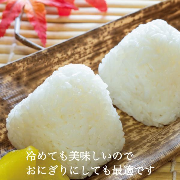 米 30kg 玄米 ヒノヒカリ 未検査米 農家直送 岡山の米 晴れの国 米 30kg 玄米 ヒノヒカリ 未検査米 農家直送 岡山の米 晴れの国
