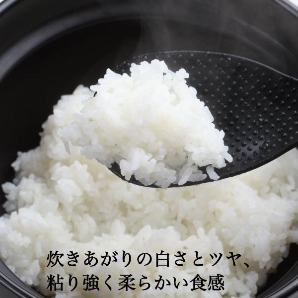 新米 米 30kg 玄米 きぬむすめ 農家直送 晴れの国岡山 岡山の米 新米 米 30kg 玄米 きぬむすめ 農家直送 晴れの国岡山 岡山の米
