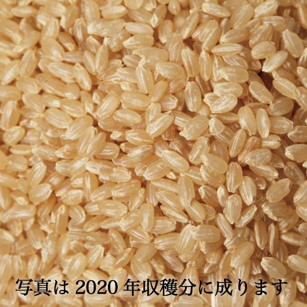 新米 米 30kg 玄米 にこまる 農家直送 笑顔がこぼれる品種 晴れ 新米 米 30kg 玄米 にこまる 農家直送 笑顔がこぼれる品種 晴れ