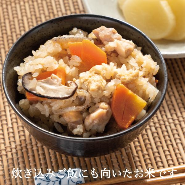 新米 米 30kg 玄米 にこまる 農家直送 笑顔がこぼれる品種 晴れ 新米 米 30kg 玄米 にこまる 農家直送 笑顔がこぼれる品種 晴れ