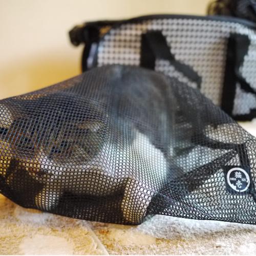 ねこきち ねこきち on X: 