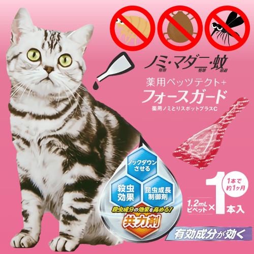 ドギーマン 猫 ノミ ダニ 駆除薬 猫ノミダニ駆除薬 ノミ 駆除 猫ダニ