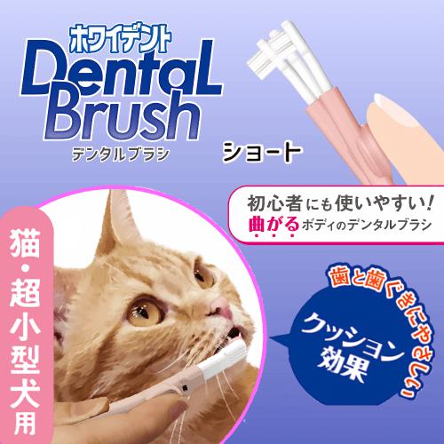 ホワイデント 猫 歯ブラシ 歯磨き 口臭ケア デンタルケア 初心者向け