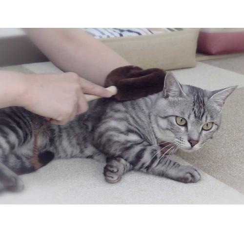 ねこがくれ ペット ブラシ 猫 よく取れる 猫ブラシ 猫用ブラシ