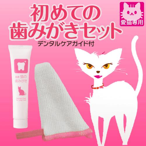 TAURUS（トーラス） 猫 歯ブラシ 猫歯ブラシ 歯磨き デンタルケア