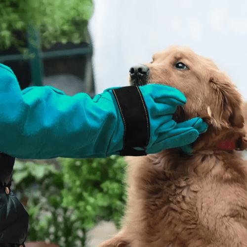 猫科の動物が好きな方へ　革手袋 森のトンネル ねこふき手袋 | 株式会社ビューティーワールド