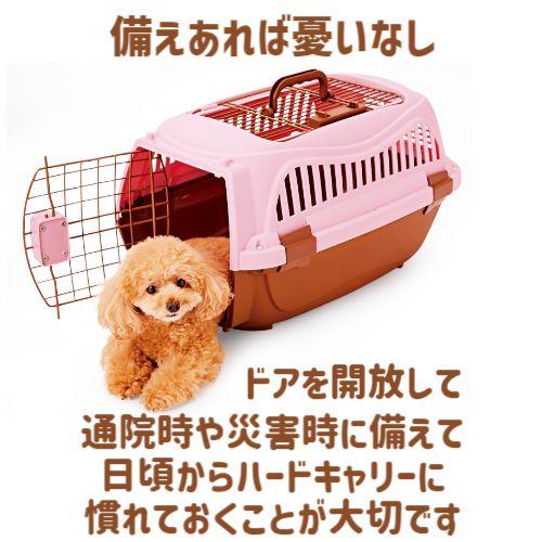 Petio（ペティオ） 猫 キャリーバッグ ハードタイプ 2ドア スマイル