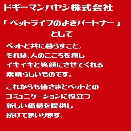 猫 食器 台 防音 ドギーマン カタカタ鳴らないツインディッシュS｜kocka｜06