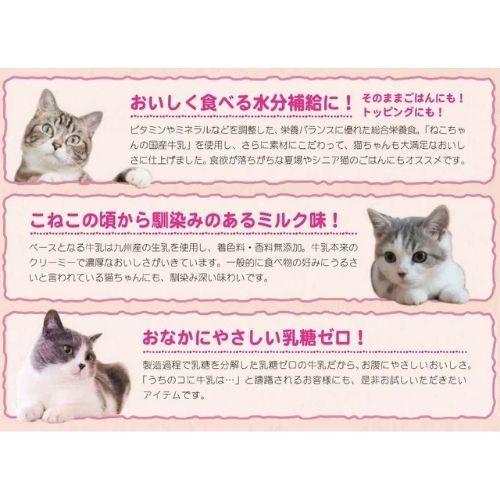 仔猫 ゴハン ウェット スープごはん ささみ＆まぐろ こねこ用 40g｜kocka｜04