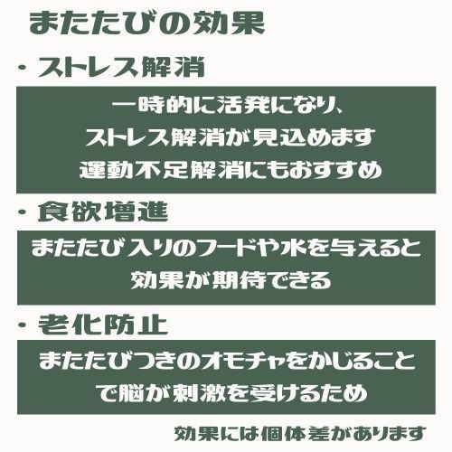 猫 毛玉 またたび 猫にまたたび お腹の中の毛玉ケア 0.5g×10包｜kocka｜06