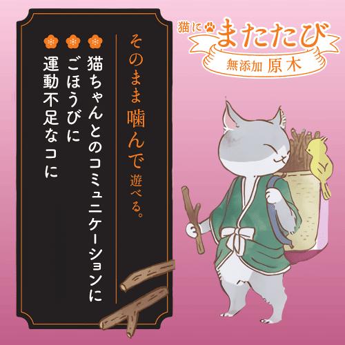 ドギーマン 猫 おもちゃ またたび マタタビ またたびの木 遊ぶ ねずみ